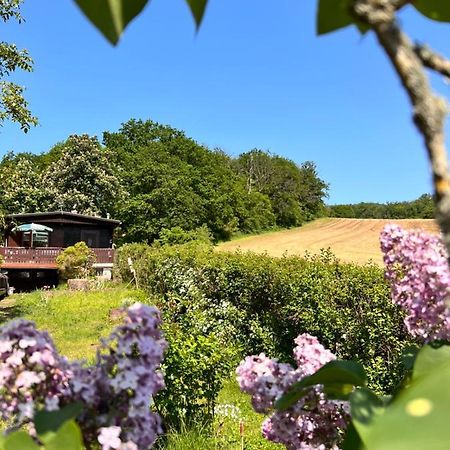 Willa Ferienhaus Zittertal Neustadt Harz Haus I Harztor Zewnętrze zdjęcie