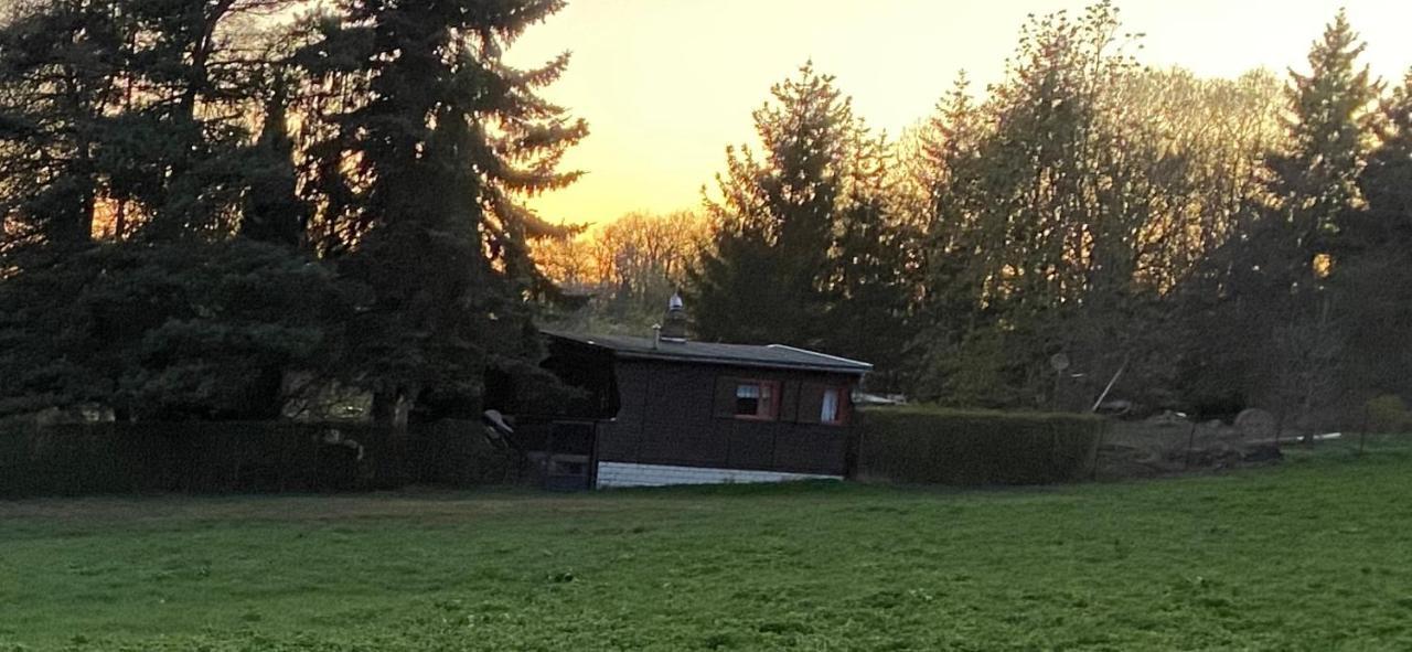 Willa Ferienhaus Zittertal Neustadt Harz Haus I Harztor Zewnętrze zdjęcie