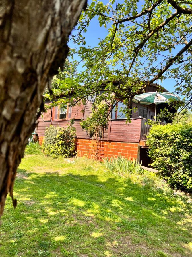Willa Ferienhaus Zittertal Neustadt Harz Haus I Harztor Zewnętrze zdjęcie