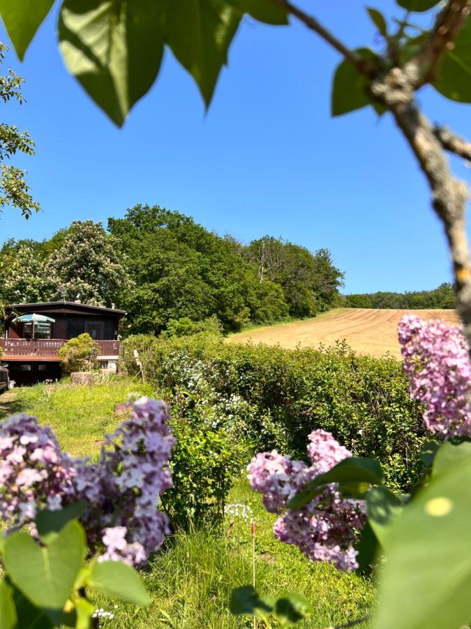 Willa Ferienhaus Zittertal Neustadt Harz Haus I Harztor Zewnętrze zdjęcie
